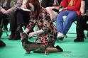 Crufts2011_2 911